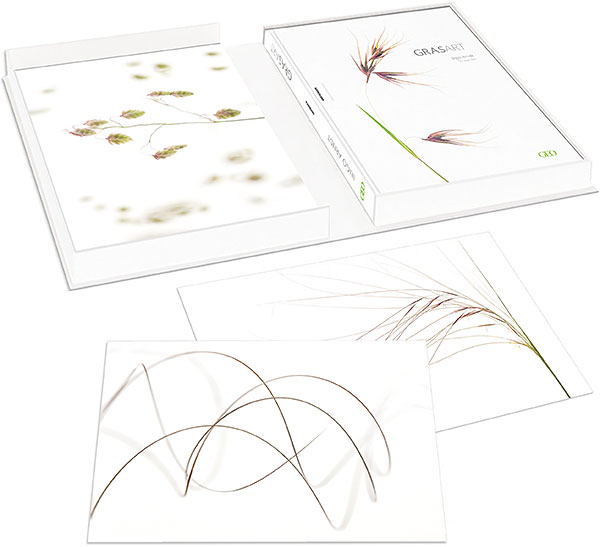 GRASART Collector's Edition available