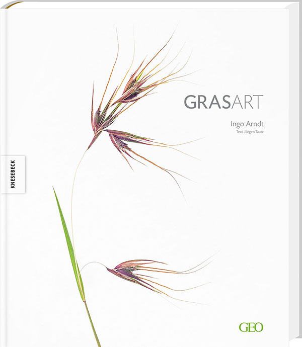 New book GRASART available