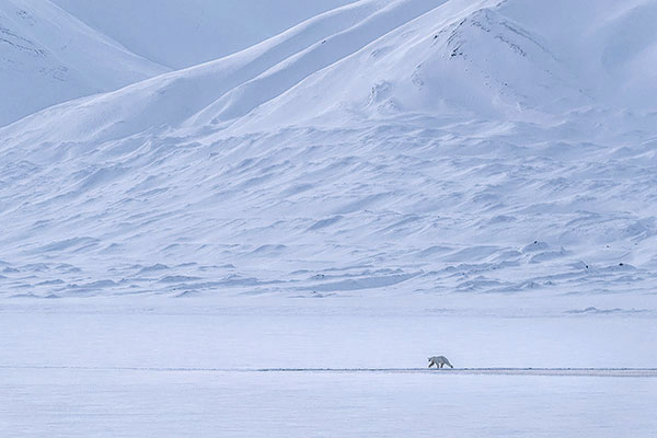 Svalbard Winter Expedition